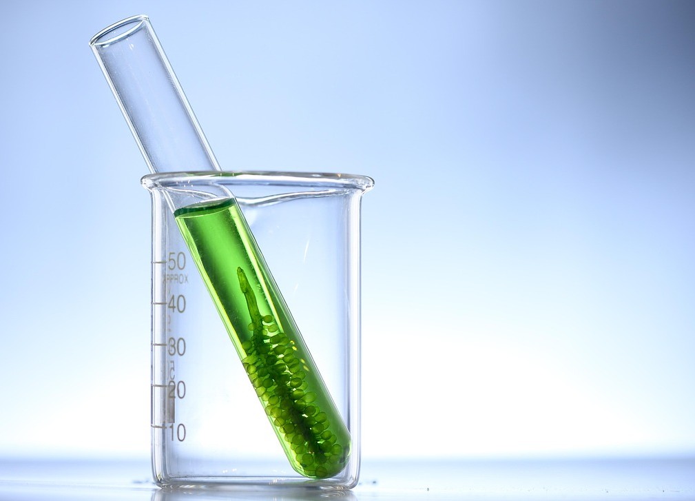 緑色の液体が入った試験とビーカーがあります