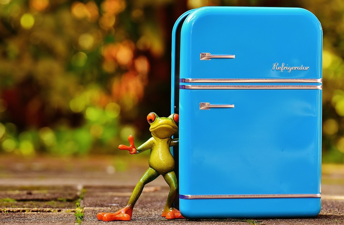 青い色の冷蔵庫とカエルがいます